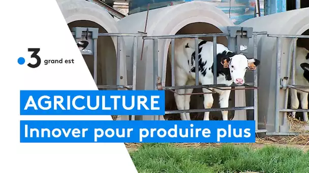 Agriculture connectée : les nouvelles technologies modernisent les exploitations