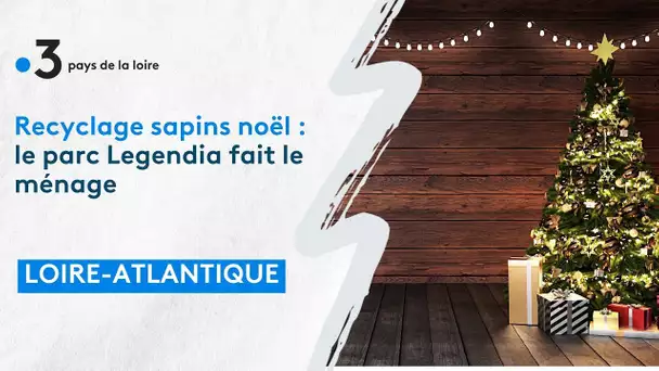 Recyclage sapins noël : le parc Legendia fait le ménage