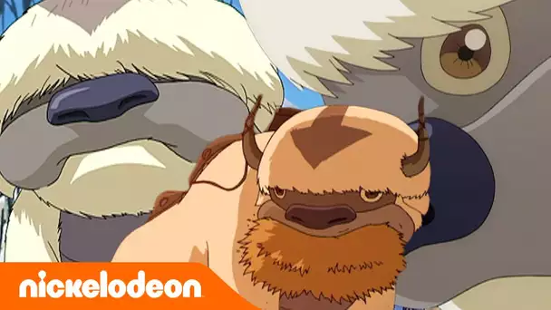 Avatar, le dernier maître de l'air | Appa, le bison volant | Nickelodeon France