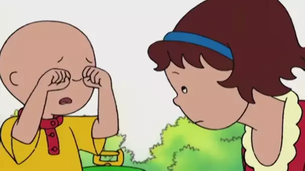 Caillou FRANÇAIS | Caillou Et La Fée Des Dents | PLUS QU&#039;UNE HEURE COMPLÈTE DE CAILLOU |