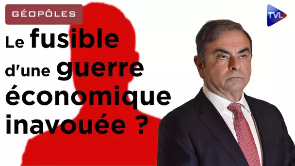 L'avocat de Carlos Ghosn sur TVL - C. Ghosn : un fusible d'une guerre économique inavouée ? - TVL