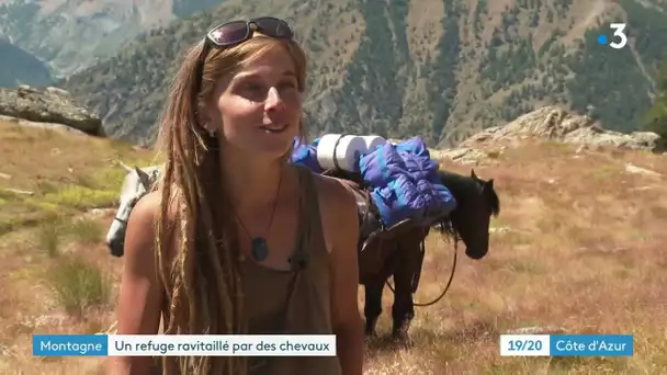 Dans la Tinée, un refuge de montagne ravitaillé... à dos de cheval