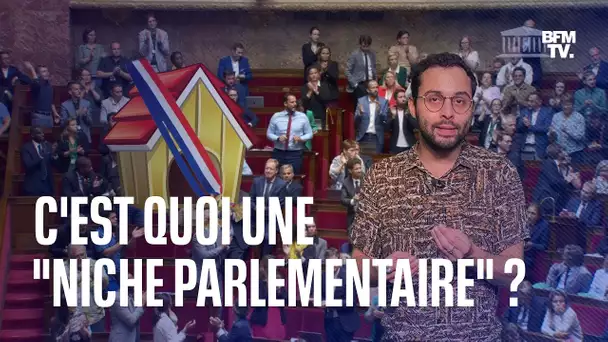 C'est quoi une "niche parlementaire" à l'Assemblée nationale?