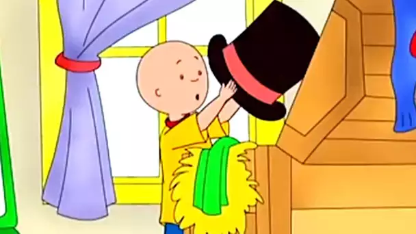 Caillou et le Secret du Coffre | Caillou en Français