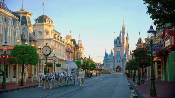 Une Journée à Disney - Bande-annonce | Disney+