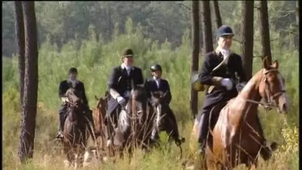 Chasse à courre : les saboteurs attaquent - Reportage