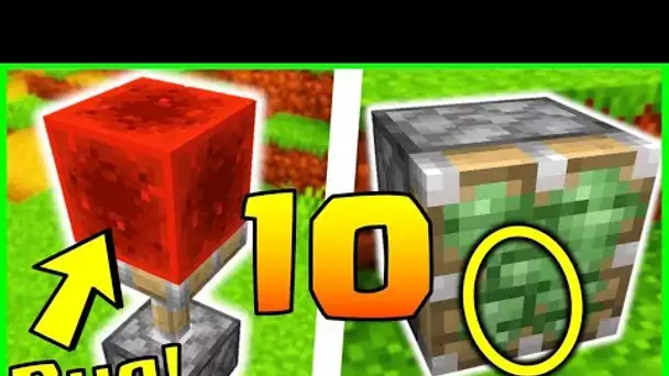 10 SECRETS ETRANGES SUR LE PISTON MINECRAFT 1.19