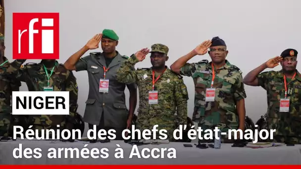 Niger : pendant que la Cédéao se réunit à Accra, l'option militaire fait débat en Gambie