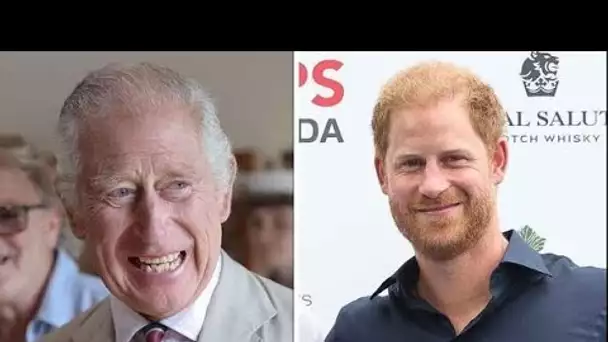 Le roi « pardonnera » au prince Harry « la plupart des choses », mais aucun espoir de paix avec Will