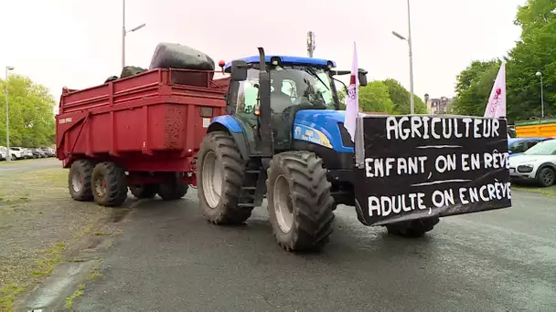 Béarn: manifestation des agriculteurs à Pau