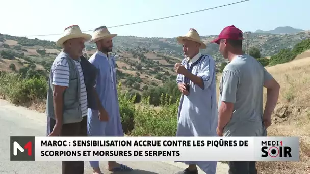 Maroc : Sensibilisation accrue contre les piqûres de scorpions et morsures de serpents