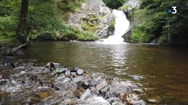 Vacances près de chez vous : partez à la découverte du Saut de Gouloux dans la Nièvre