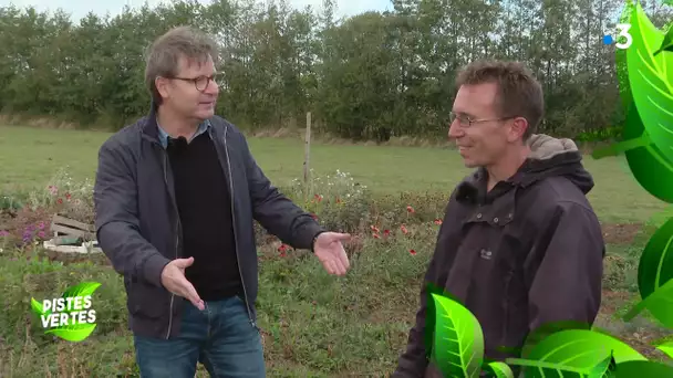 Pistes Vertes : les fleurs de "C Naturel" à Sées dans l'Orne