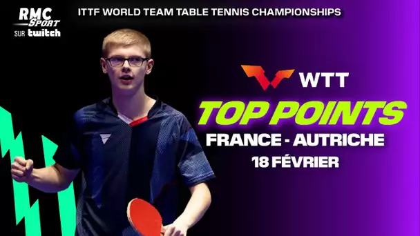 Tennis de table : Gauzy et les frères Lebrun régalent... les plus beaux points d'Autriche-France