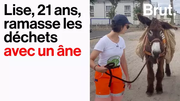 Son job d'été : elle ramasse des déchets avec un âne