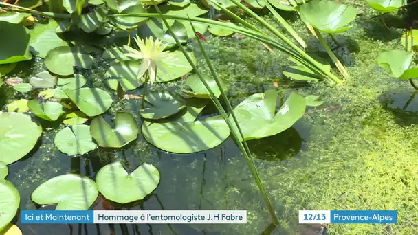 A Sérignan-du-Comtat , dans le Vaucluse à l'occasion des 200 ans de la naissance de Jean Henri Fabre