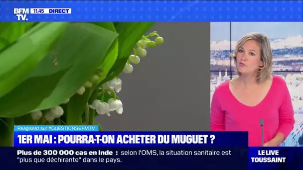 Où pourra-t-on acheter du muguet pour le 1er-Mai ? BFMTV répond à vos questions