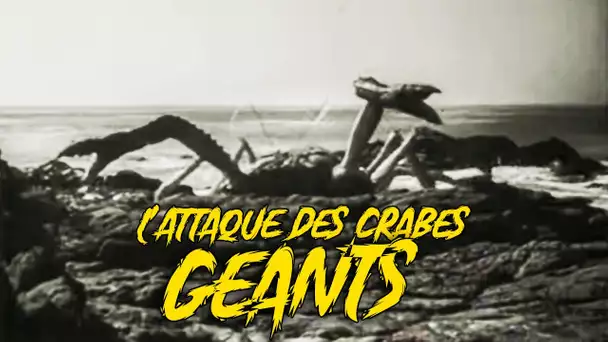 L'Attaque des crabes géants (film, 1957) SF/Horreur