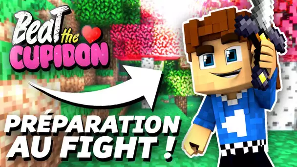 PRÉPARATION AU FIGHT ! - Beat the Cupidon #02 (Minecraft)