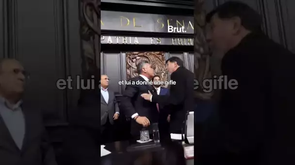 Une bagarre a éclaté entre deux sénateurs au Mexique.