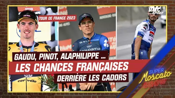 Tour de France 2023 : Gaudu, Pinot, Laporte, Alaphilippe, Bardet, les chances françaises