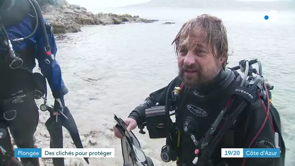 Deux photographes sous-marins d'Antibes et Cannes, subliment leurs rencontres sous l'eau
