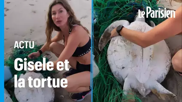 La top model Gisele Bündchen sauve une tortue de mer échouée