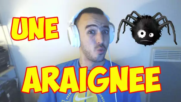 UNE ARAIGNÉE ! BLEDARD STORY #9