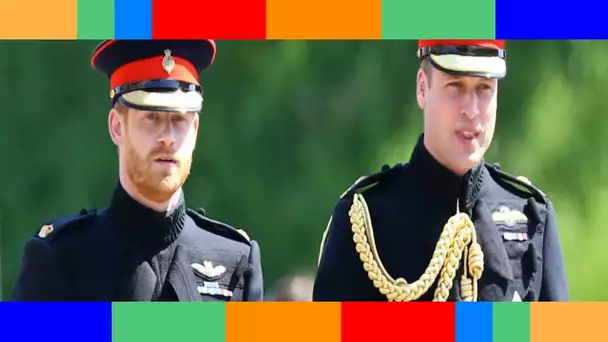 Obsèques du prince Philip : quel sera l'état d'esprit de Harry et William ?