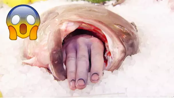 Ils ont trouvé une main dans un poisson...