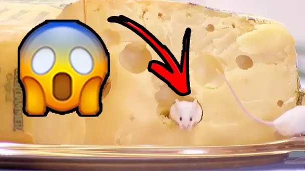 Souris trouvée dans le fromage!