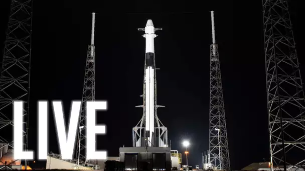 [LIVE] Lancement cargo Dragon CRS-19 par SpaceX commenté FR