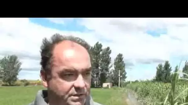 Les terres agricoles de la Crau menacées de disparition ?.wmv