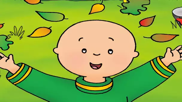 Dessin Animé | Caillou FRANÇAIS - La feuille | conte pour enfant | dessin animé