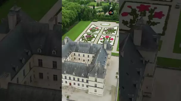 5 pièces incroyables du château d’Ancy-Le-Franc !