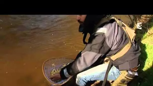 L&#039;ouverture de la pêche à la truite