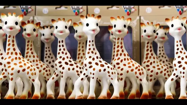 Comment Sophie le girafe est-elle devenue une icône des jouets pour bébés ?