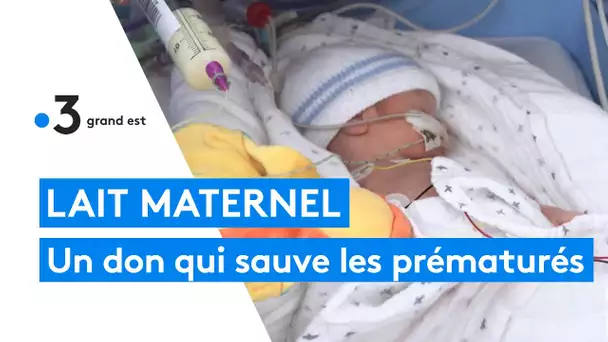 Lait maternel : les dons de lait sauvent les bébés prématurés