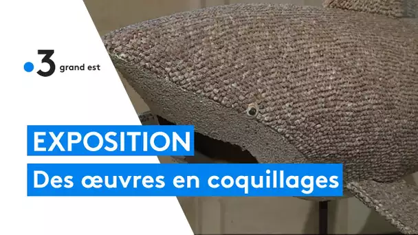 Des œuvres réalisées avec des coquillages