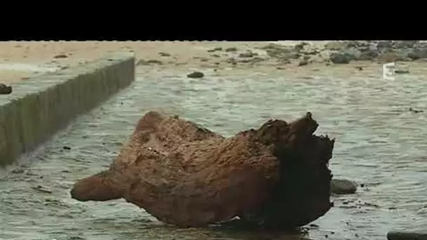 Les dégâts de la tempête Eleanor à Saint-Jean-Le-Thomas (manche)