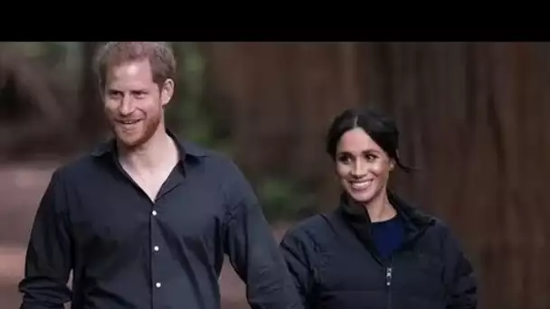 Meghan avait des "ambitions" d'épouser le prince Harry et a fait "une énorme planification"