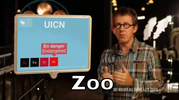 A quelle vitesse disparaissent les espèces animales ? - C'est Pas Sorcier