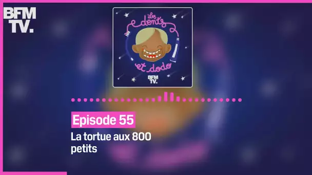 Episode 55 :  La tortue aux 800 petits - Les dents et dodo