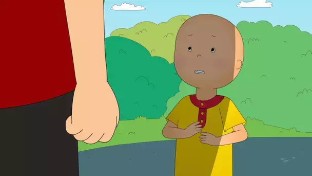 Résister Aux Intimidateurs | Caillou en Français