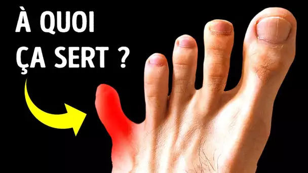 Avons-nous besoin de petits doigts sur nos pieds ?