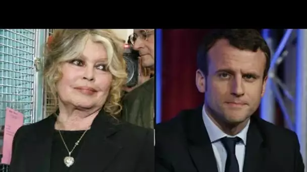 Emmanuel Macron fâche à nouveau Brigitte Bardot