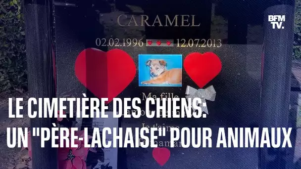 Le cimetière des chiens d'Asnières, un "Père-Lachaise" pour animaux de compagnie