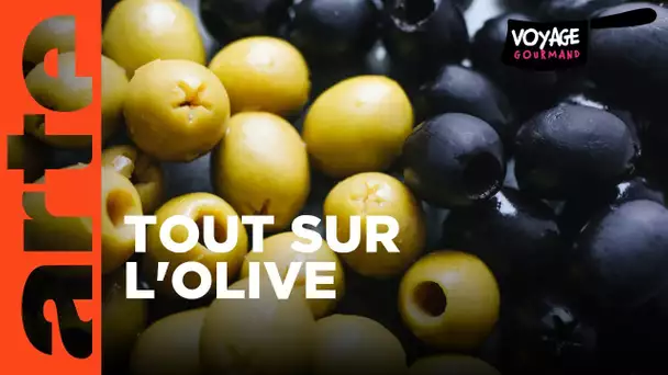 Tout sur l'olive | Voyage gourmand | ARTE Family