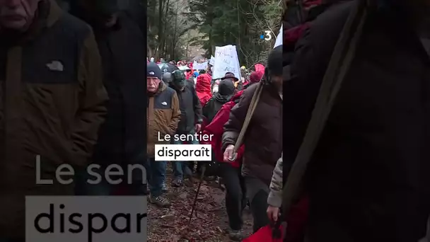 Des centaines de randonneurs mobilisés pour retrouver l'accès à un sentier forestier