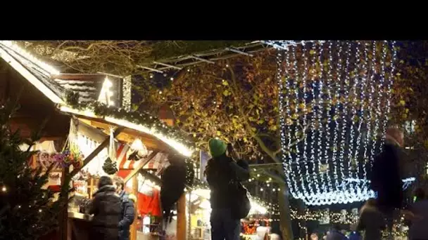 Allemagne : un jardin de Noël à Berlin pour rester connecté à la nature